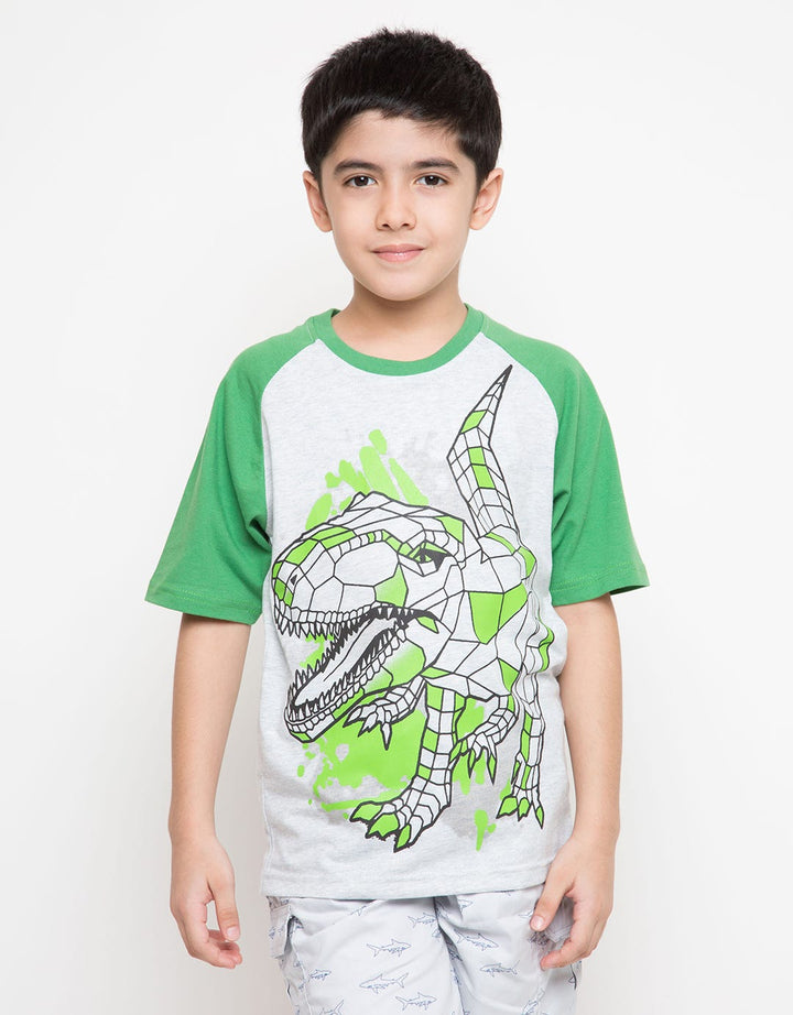 SS TSHIRT KI PRINTNO