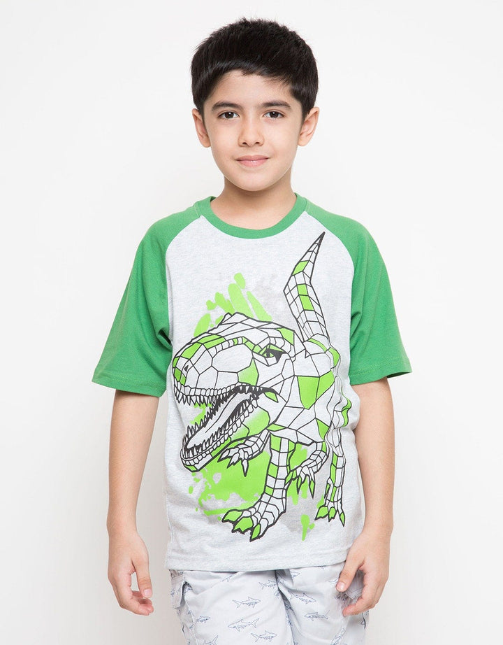 SS TSHIRT KI PRINTNO