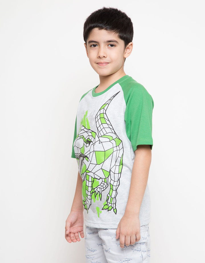 SS TSHIRT KI PRINTNO
