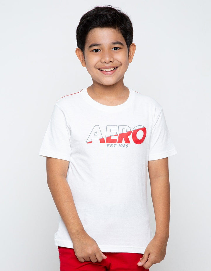 SS KI AERO BASIC