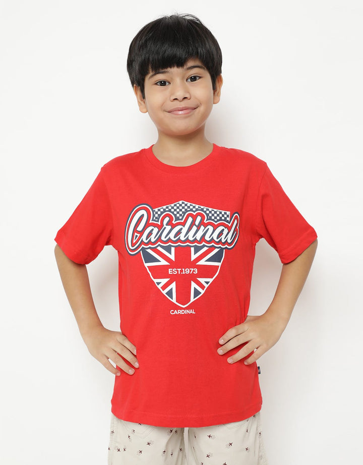 Cardinal Kids Boy T-Shirt England Flag