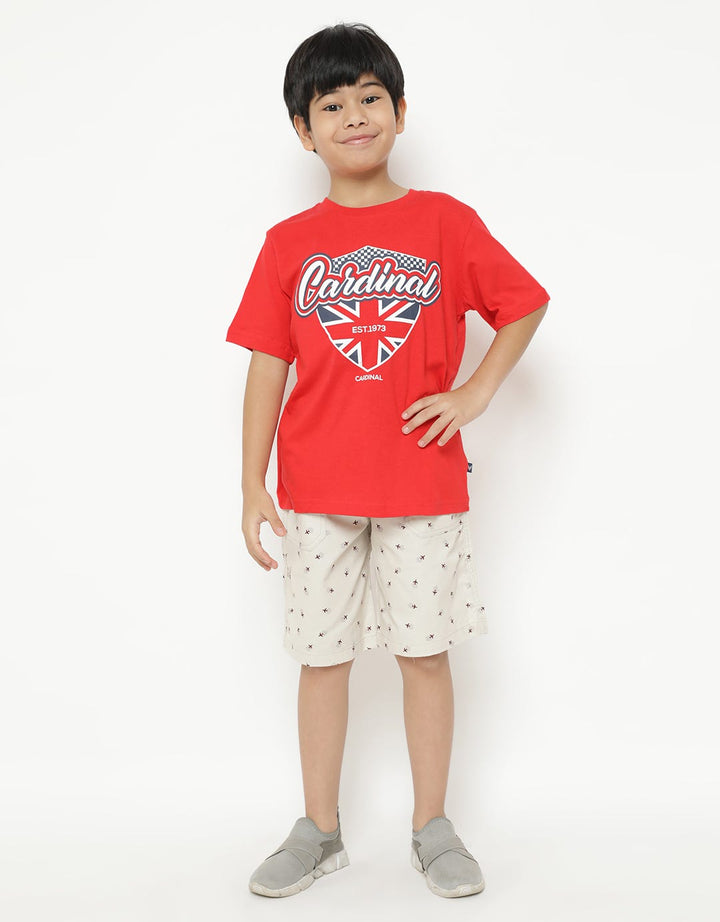 Cardinal Kids Boy T-Shirt England Flag