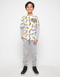 66020100MIC DS MICKE