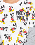 66020100MIC DS MICKE