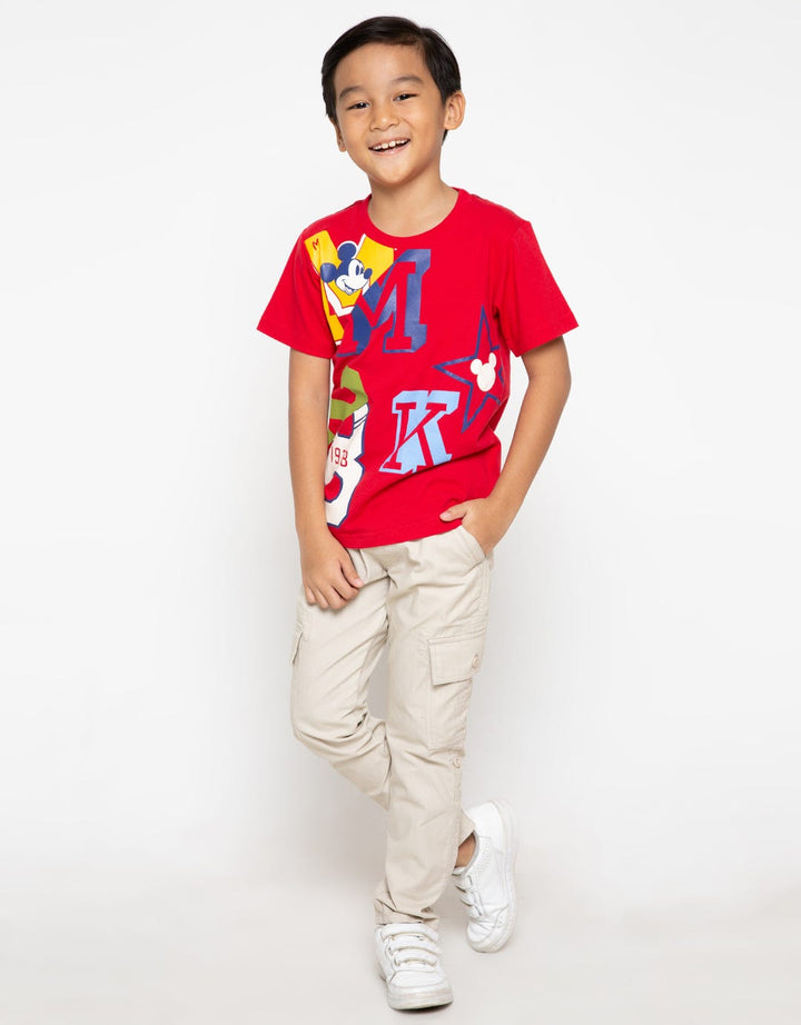 66020100MIC TS MICKE