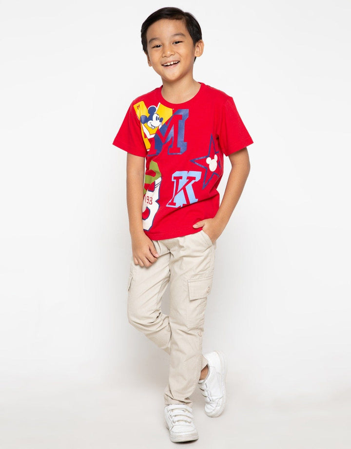 66020100MIC TS MICKE