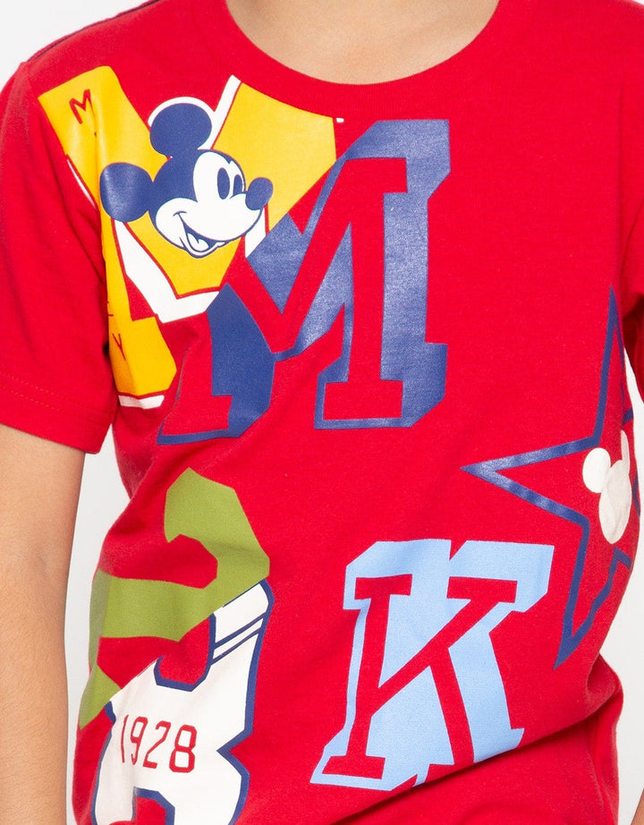 66020100MIC TS MICKE
