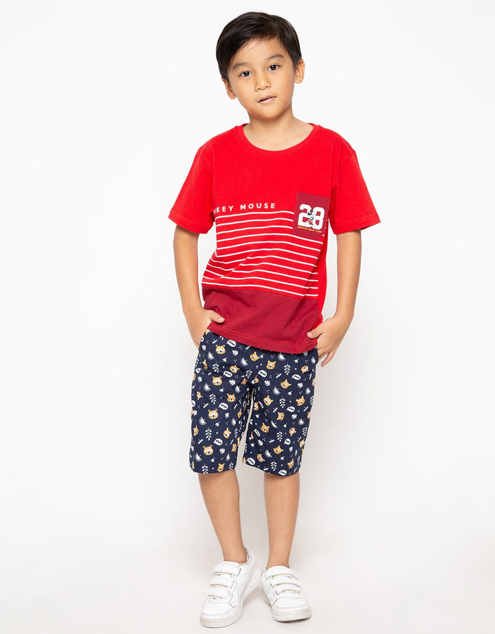 66020100MIC TS MICKE
