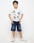 SS TSHIRT FP STRIPE