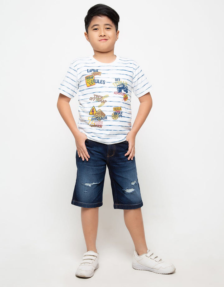 SS TSHIRT FP STRIPE