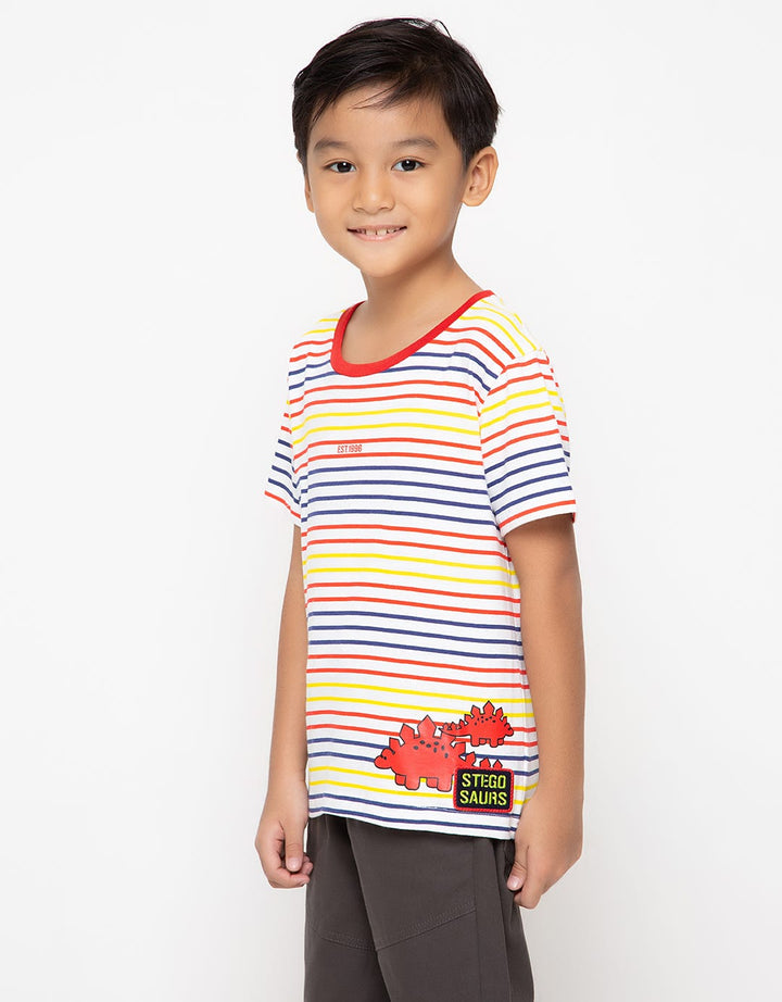 SS TSHIRT FP STRIPE
