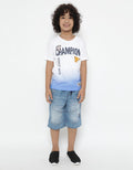 SS TSHIRT OMBRE CHAM