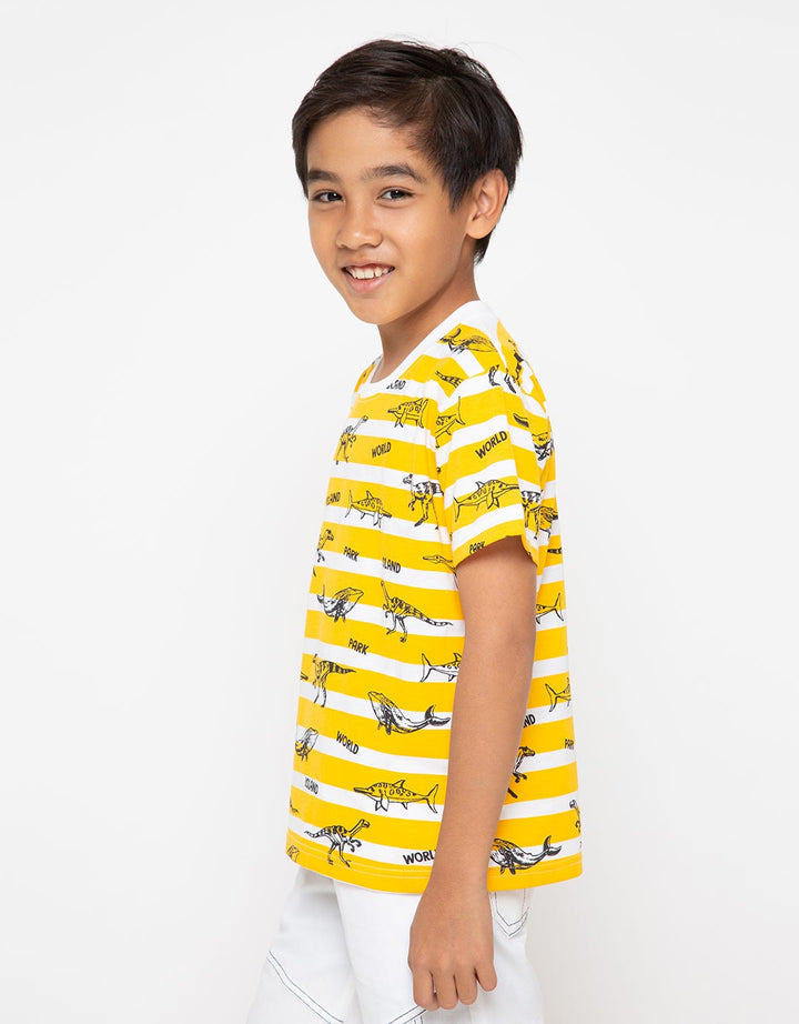 SS TSHIRT FP STRIPE