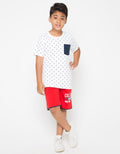 SS FP FLAMINGO WITH