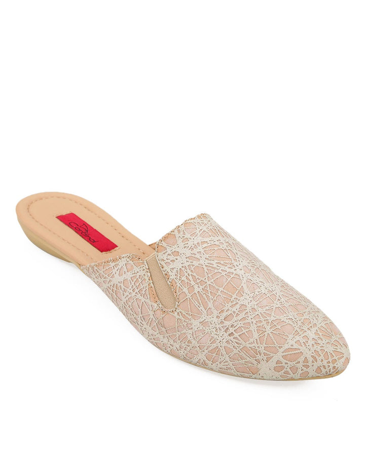 Cardinal Flats Febby 12