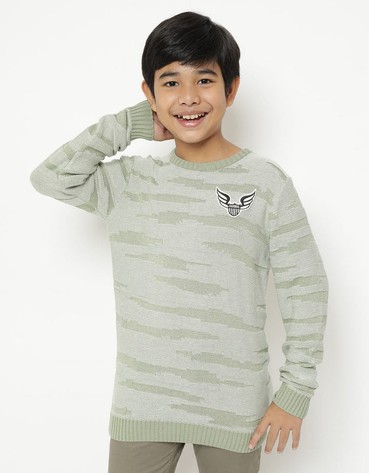 Cardinal Kids Boy Sweater