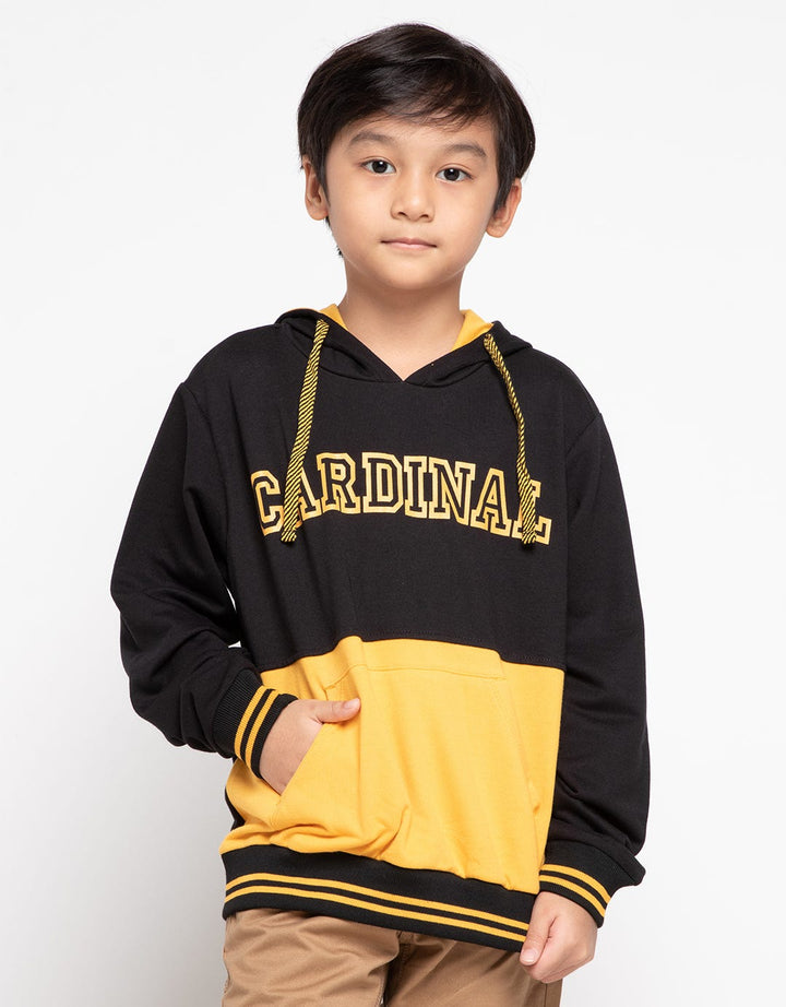 Cardinal Kids Boy Sweater Tavar00073J.07B