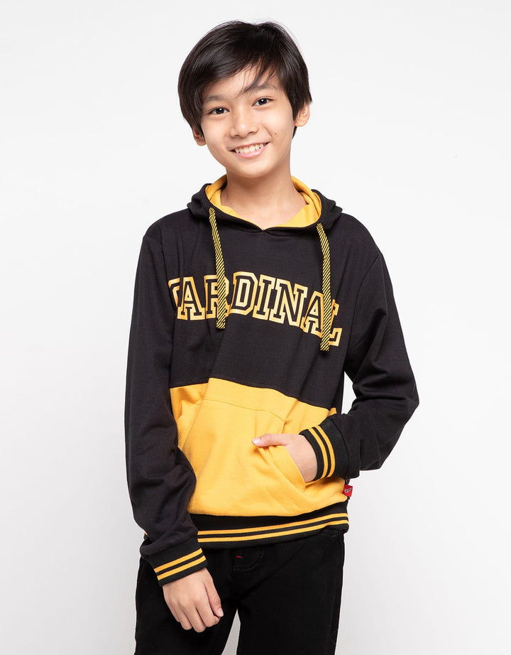 Cardinal Kids Boy Sweater
