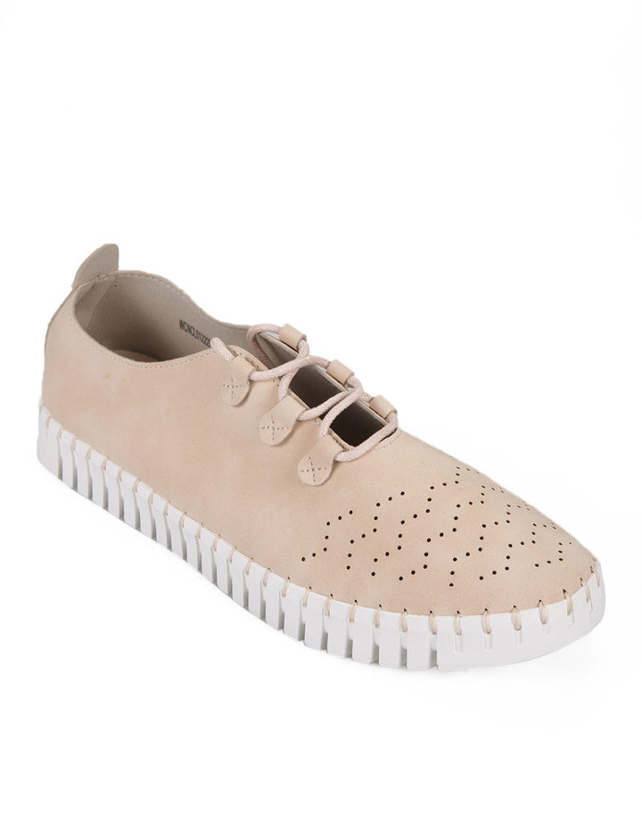 Cardinal Shoes Evelyn 8