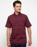 POLO STRIPE