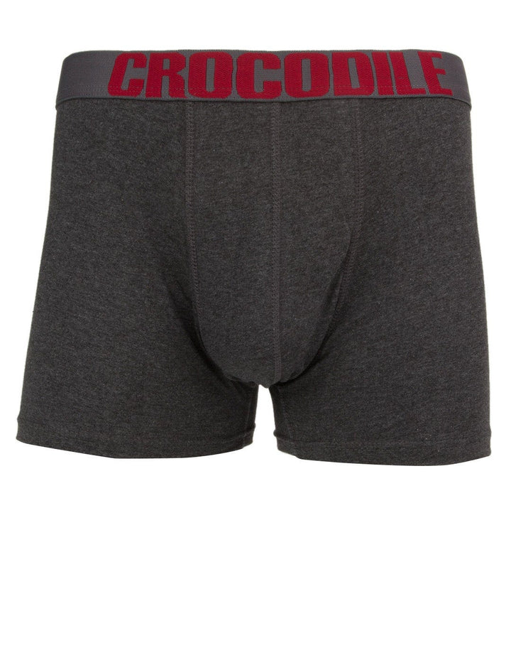 BOXER SOLID