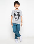 66020100MIC TS MICKE