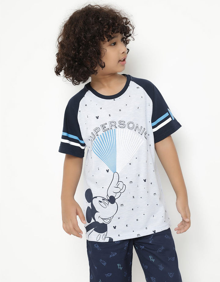 66020100MIC TS MICKE