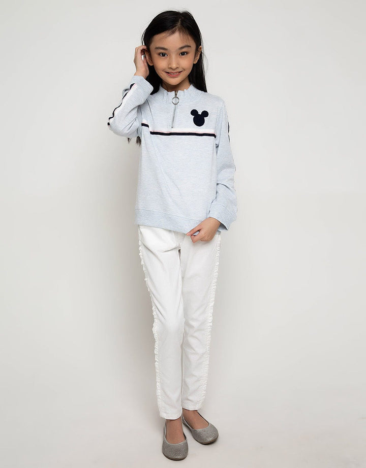 66050100MIC - SW MIC