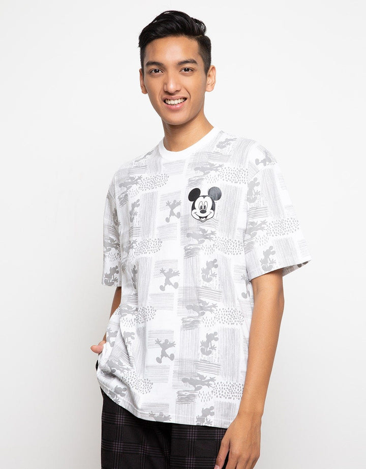 66090100MIC TS MICKE