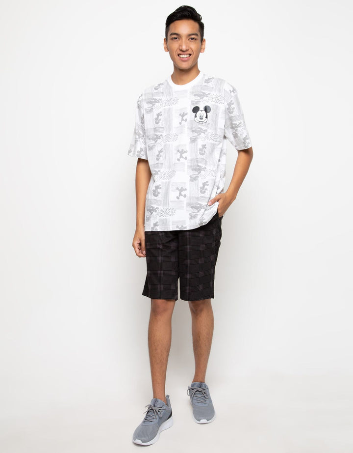 66090100MIC TS MICKE