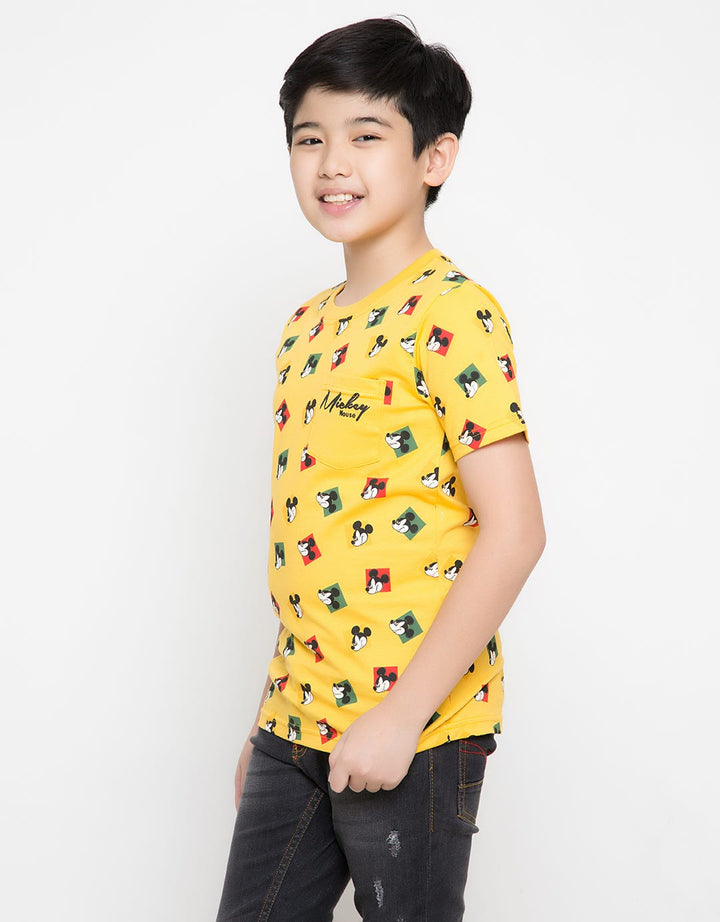 66020100MIC TS MICKE