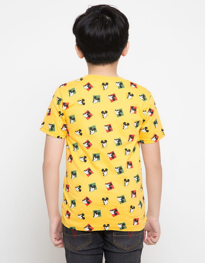 66020100MIC TS MICKE