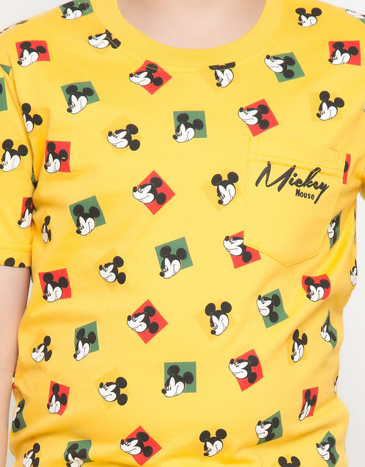 66020100MIC TS MICKE