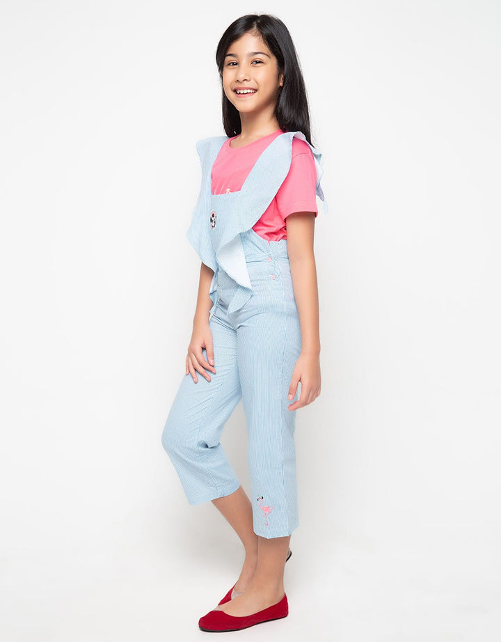 OVERALL STRIPES MINN