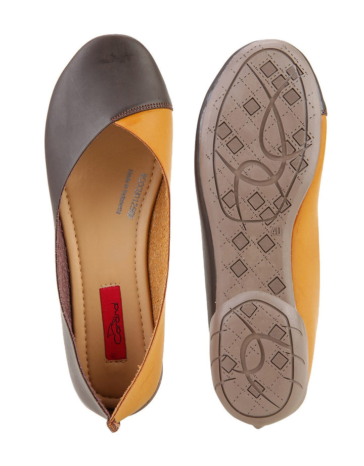 Cardinal Minnie 2 WCCCU01256F.03I