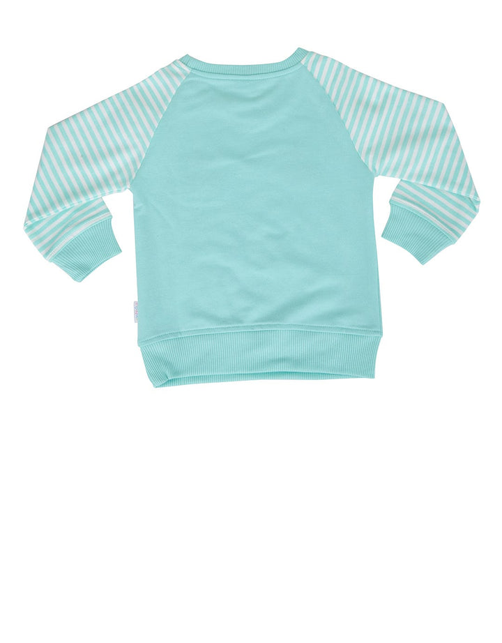 SWEATER APLKS CAT