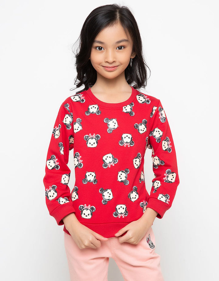 66030100TT1 SW TSUMT