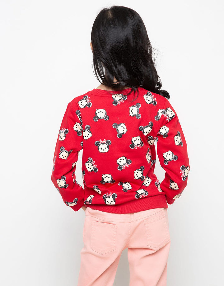 66030100TT1 SW TSUMT