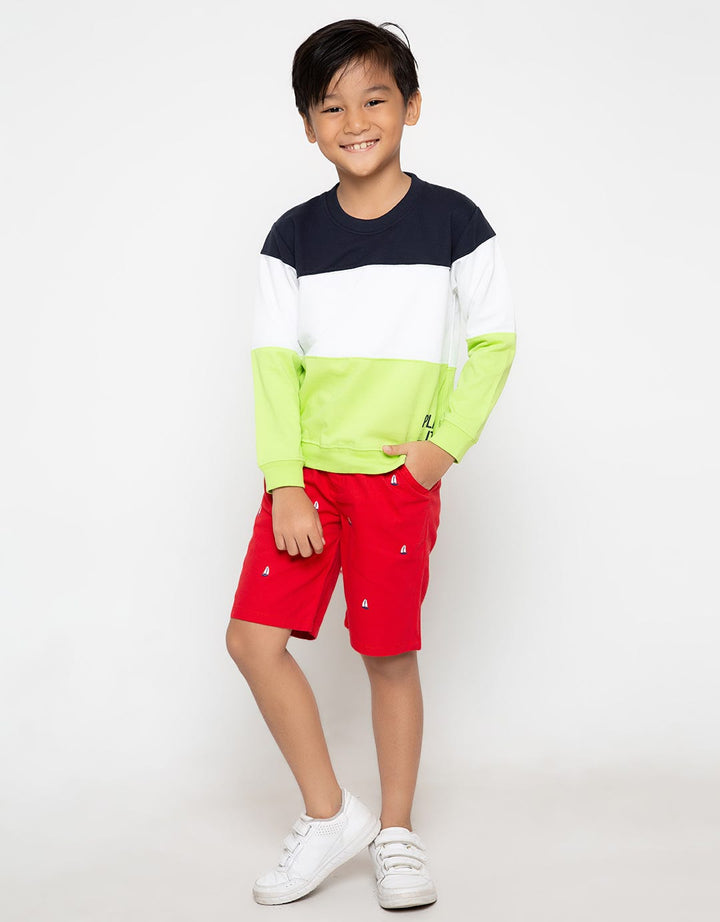 LS SWEATSHIRTS COLOR