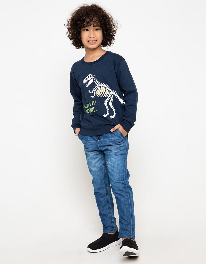 LS SWEATSHIRT DINO B