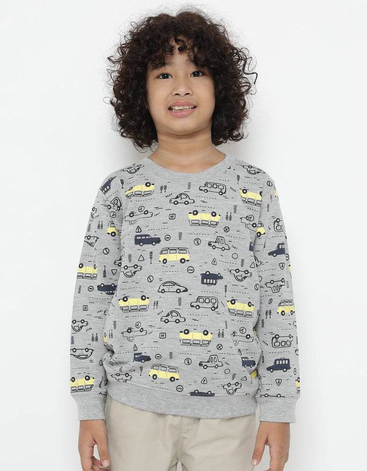 LS SWEATSHIRT FP CAR