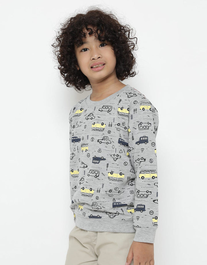 LS SWEATSHIRT FP CAR
