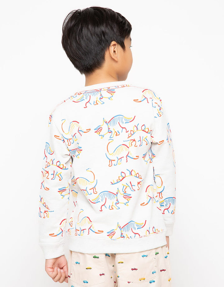 LS SWEATSHIRTS FP IN
