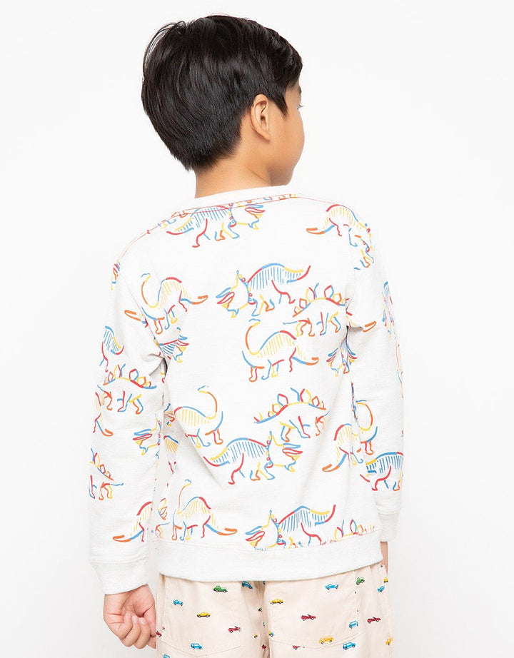 LS SWEATSHIRTS FP IN