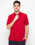 POLO BASIC