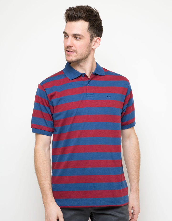 Cole Polo Shirt Print Stripes