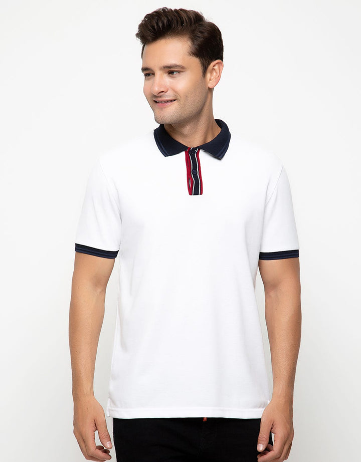 POLO SOLID