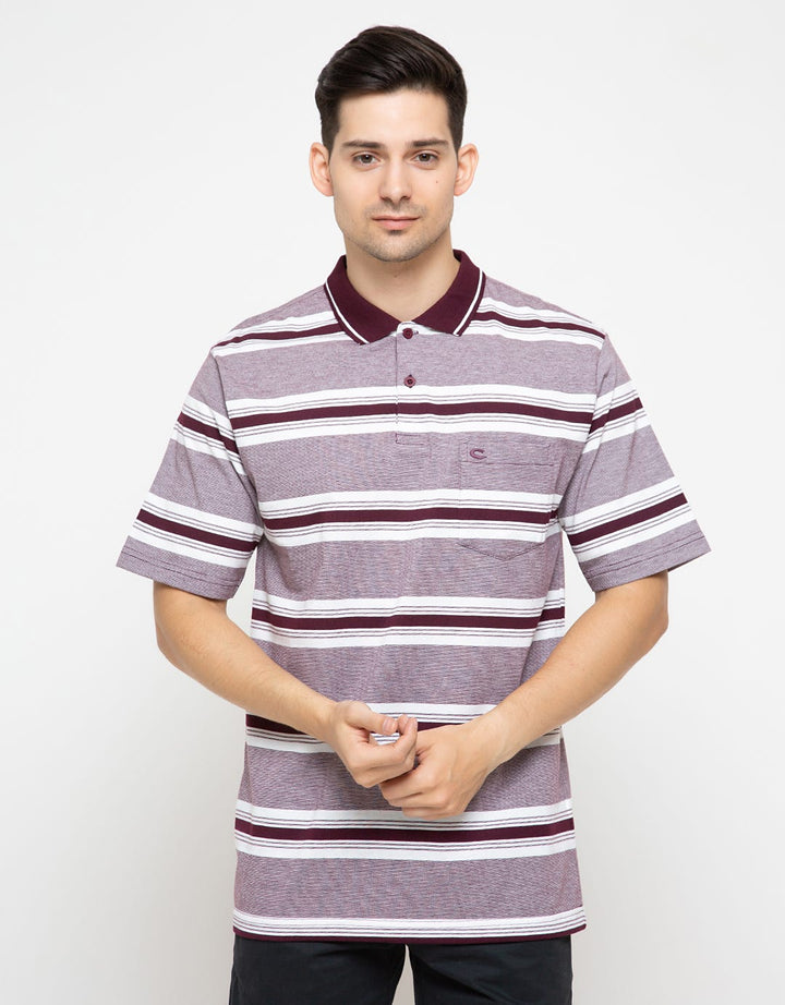 POLO STRIPE