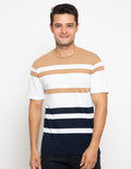Details Stripe Color Kaos Casual Pria
