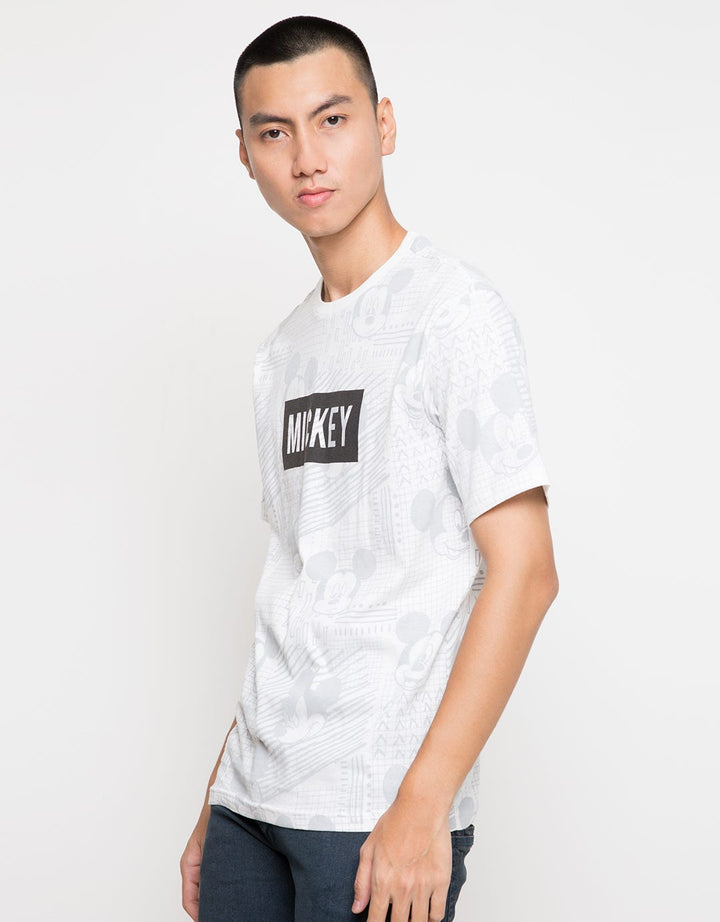 GADN08 66090100MIC T